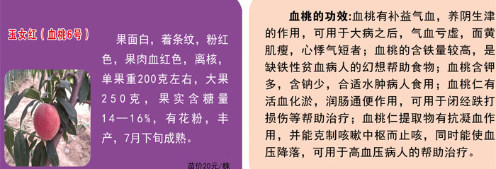 桃苗新品种